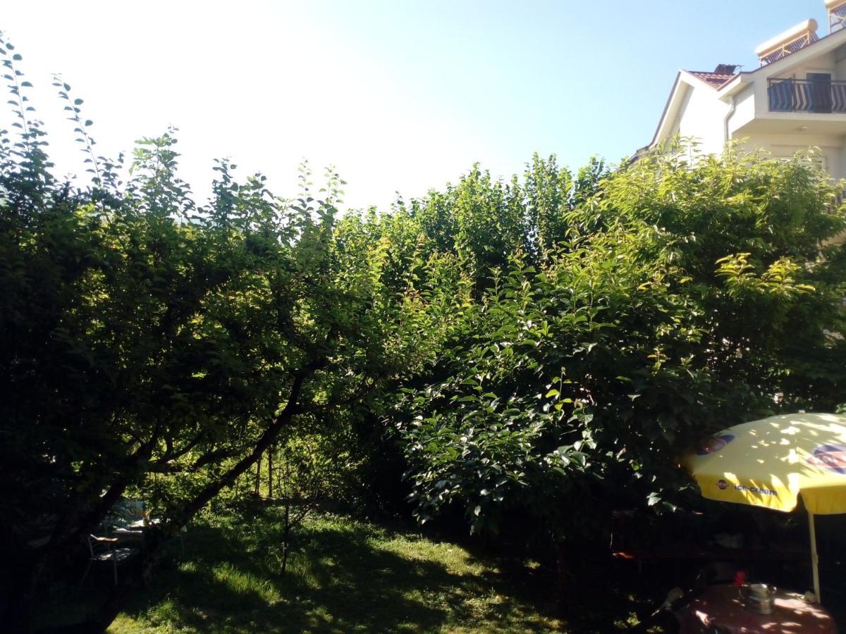 Vila Dudan Οχρίδα Εξωτερικό φωτογραφία